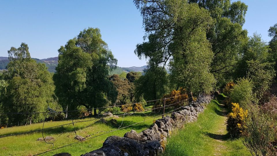 Slideshow 5 - Slide 18